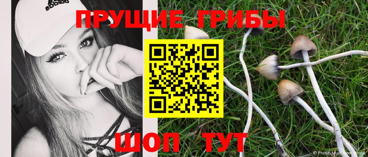 Галлюциногенные грибы прущие грибы  Вход с VPN  Лянтор 