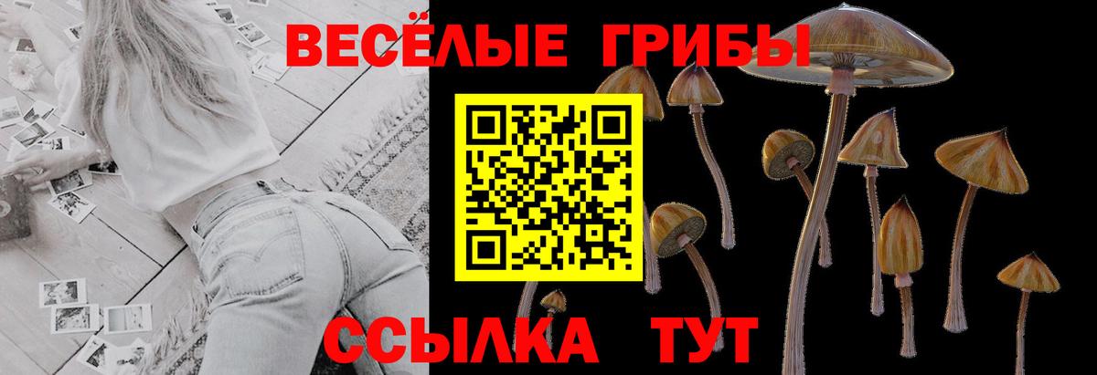 Псилоцибиновые грибы Psilocybe Лянтор